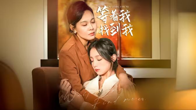 等著我，找到我(全集)
