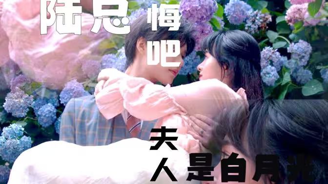 陸總懺悔吧，夫人才是白月光(全集)