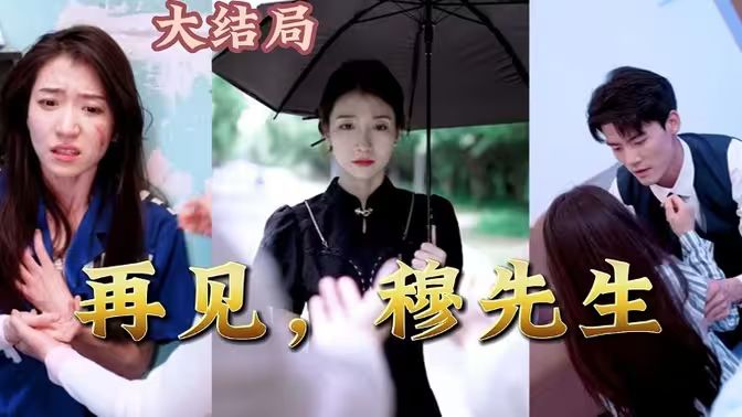 再見(jiàn)，穆先生(全集)