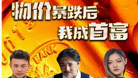 物價(jià)暴跌后我成了首富(全集)