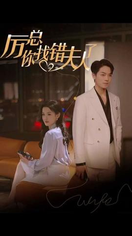 厲總，你找錯(cuò)夫人了(全集)