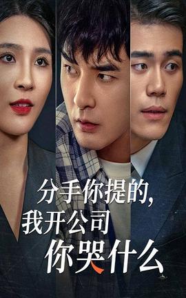 分手你提的，我開(kāi)公司你哭什么(全集)