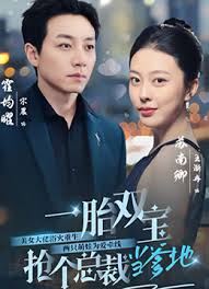 一胎雙寶，搶個總裁當(dāng)?shù)?全集)