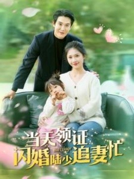 當(dāng)天領(lǐng)證閃婚陸少追妻忙(全集)