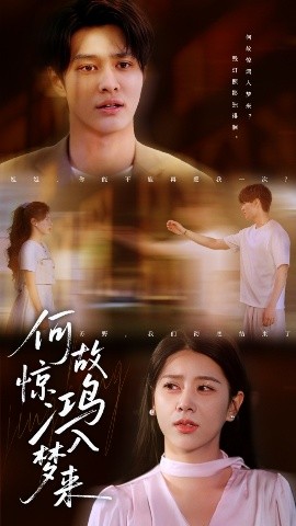 何故驚鴻入夢來(全集)