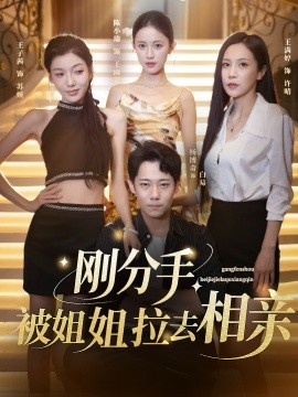 剛分手，被姐姐拉去相親(全集)