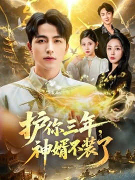 護(hù)你三年，神婿不裝了(全集)