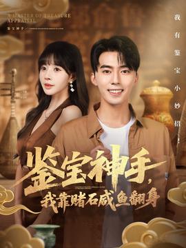 鑒寶神手，我靠賭石咸魚翻身(全集)