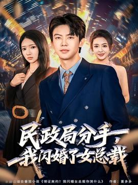 民政局分手，我閃婚了女總裁(全集)