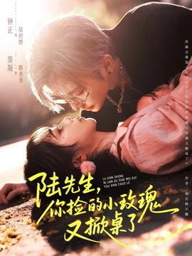 陸先生，你撿的小玫瑰又掀桌了(全集)