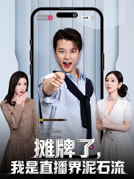 攤牌了，我是直播界泥石流(全集)