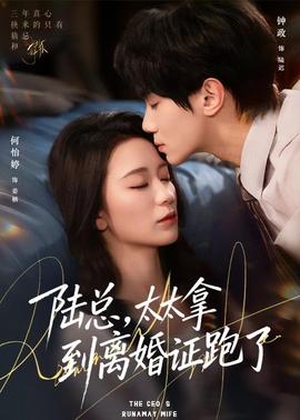陸總，太太拿到離婚證跑了(全集)