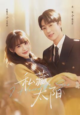 私藏太陽(yáng)(全集)