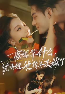 離婚算什么，沈小姐她轉(zhuǎn)頭改嫁了(全集)