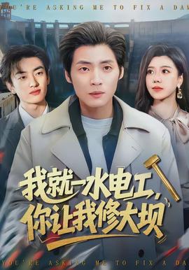 我就一水電工，你讓我修大壩(全集)