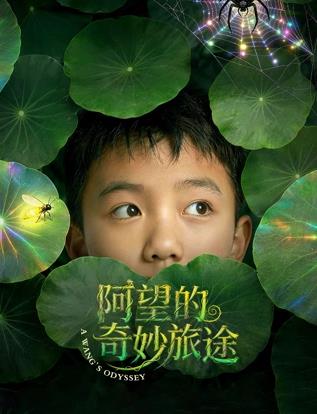 阿望的奇妙旅途